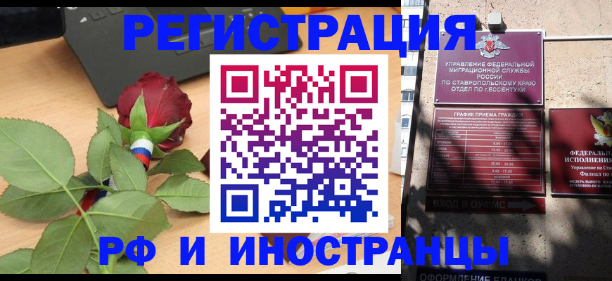 найти адрес прописки в Елизово